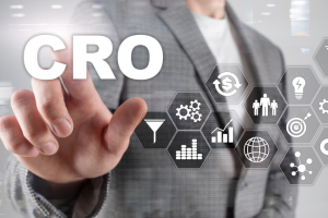 Conversion Rate Optimization Services