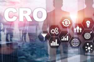 Conversion Rate Optimization Services