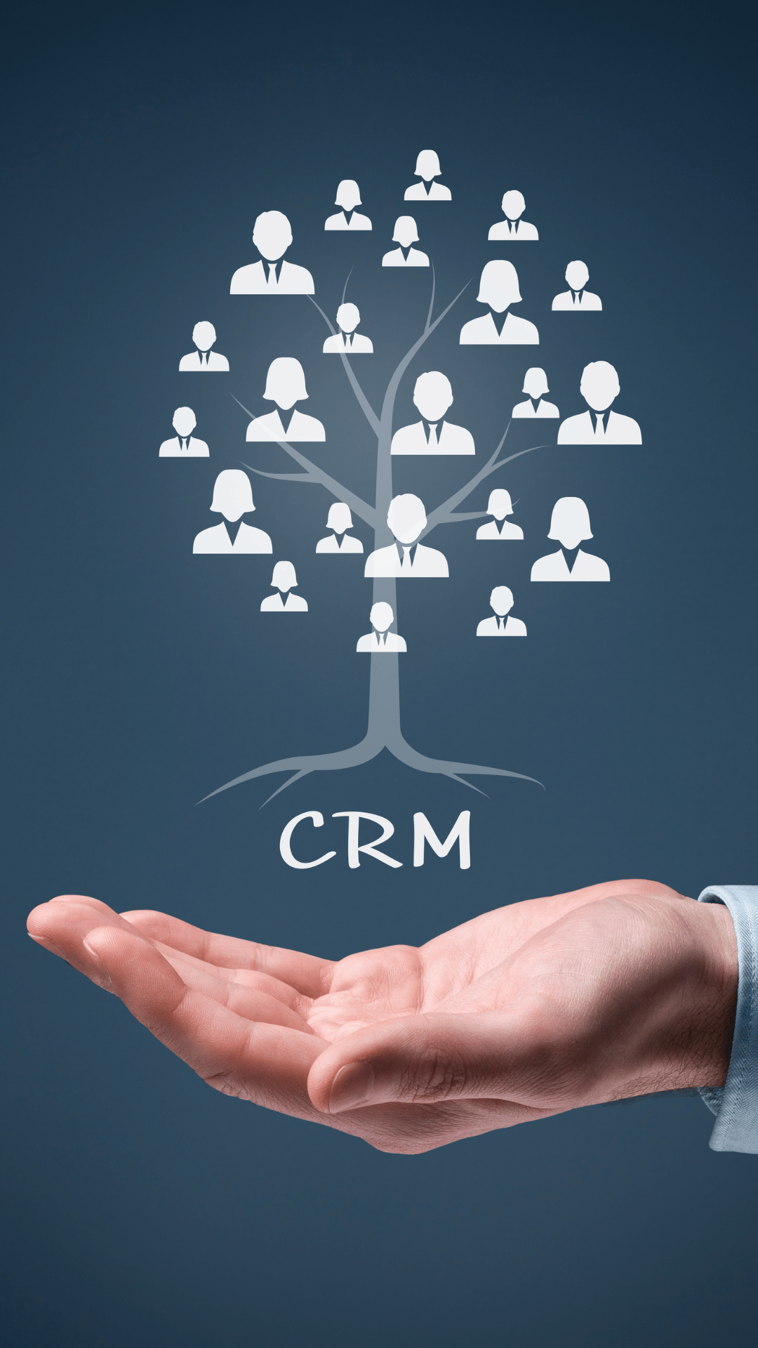 CRM & Data Integration Architecture